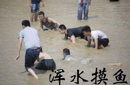 我在深宫浑水摸鱼